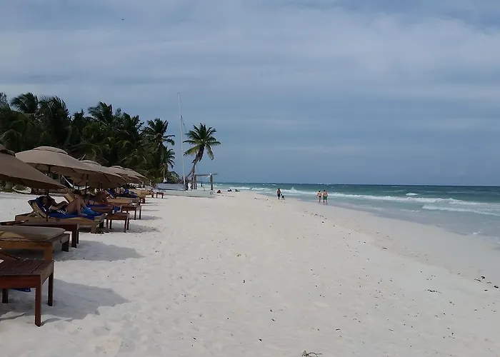 In Paradise 3*